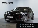 Lexus UX 250h Launch Edition *RCam*SHZ*PDC*ACC* - Lexus: L