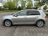 Volkswagen Golf 1.5 TSI  Highline  - Volkswagen Golf: Beige
