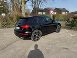Audi SQ5 3.0 TDI plus tiptronic quattro - - Audi SQ5 in Essen