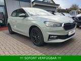 Skoda Fabia TSI Selection Plus *Kamera*Climatronic*