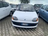 Fiat Seicento 900i cat Young - weiße Fiat Seicento