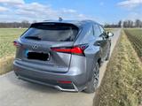 Lexus NX 300h Style Edition  - gebrauchte Lexus SUV & Geländewagen