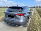 Lexus NX 300h Style Edition  - Lexus aus 2021