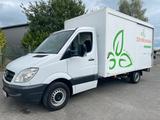 Mercedes-Benz Sprinter*313 CDI*Maxi-Koffer*Sehr Guten-Zustand* - Mercedes-Benz Sprinter: 313 Cdi Maxi