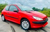Peugeot 206 1.4 HDI, TÜV NEU, EU4 gepflegt ! - Peugeot 206 mit Diesel-Antrieb: 4.1