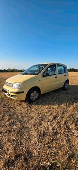 Fiat panda Angemeldet - Fiat Panda in Leipzig