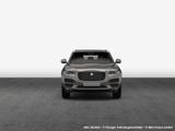 Jaguar F-Pace 25t AWD Portfolio - Jaguar F-Pace in Frankfurt (Main)