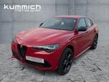 Alfa Romeo Stelvio TRIBUTO ITALIANO 2.0 Turbo 16V 280PS - Alfa Romeo Stelvio Tageszulassungen