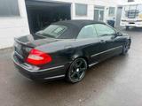 Mercedes-Benz Cabrio CLK 280 V6 AMG-Styling Grand Edition - Mercedes-Benz CLK