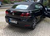 Volkswagen Golf 1.2 TSI Cabriolet - - Volkswagen Golf mit Benzin-Antrieb: Cabrio, 1.2