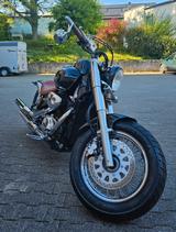 Suzuki Intruder VL 800 Volusia  - SUZUKI VL 800 VOLUSIA