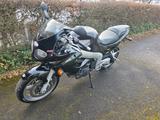 Triumph Sprint RS 955i - TRIUMPH SPRINT