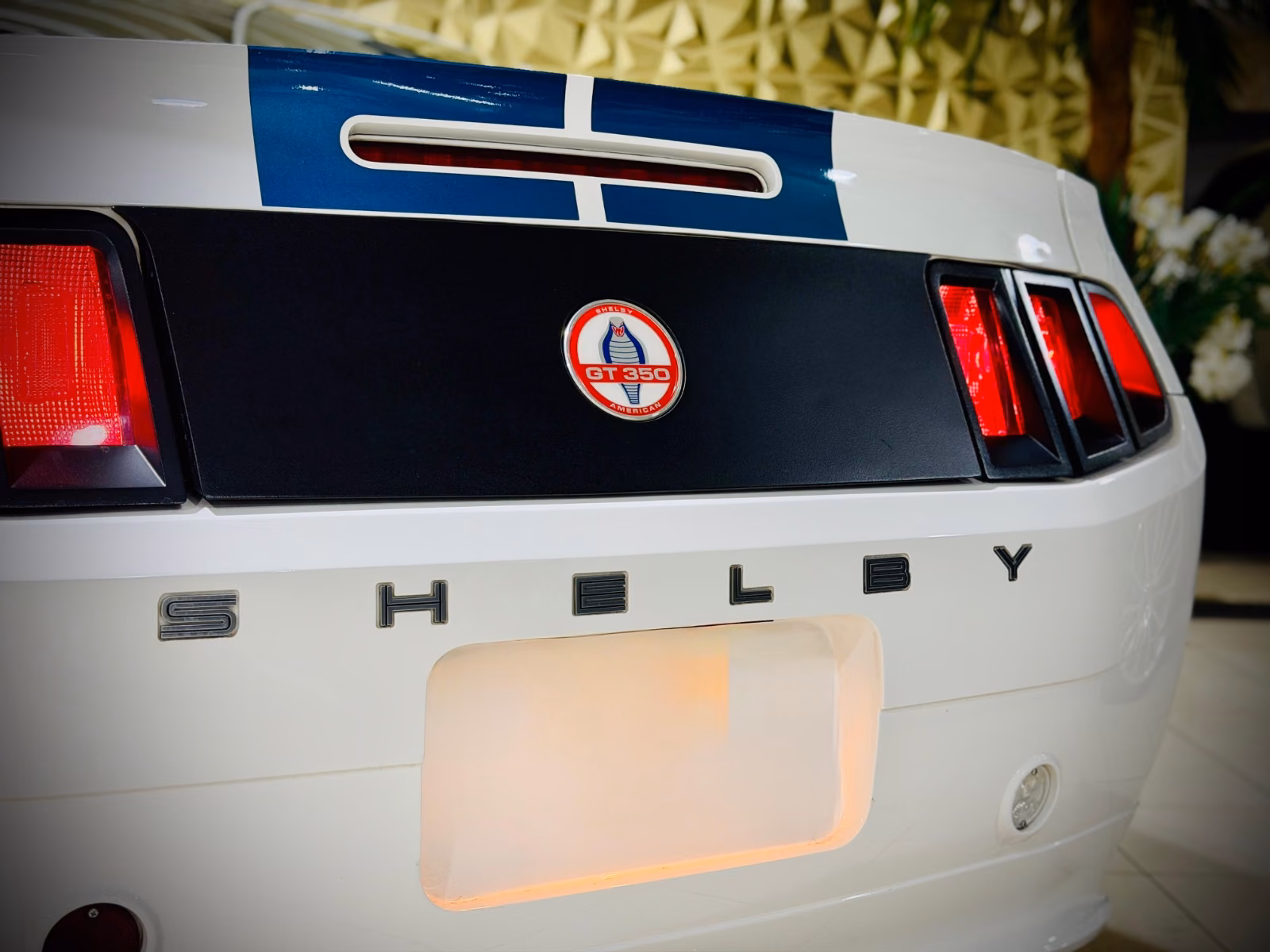 Ford Mustang Shelby American GT 350|624PS|CSM|SAMMLER
