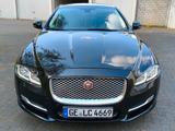 Jaguar Xj 3L diesel 300 PS Servicebuch - Jaguar XJ aus 2017