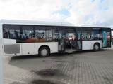 Setra Evobus Citaro 530 LE/  41 Sitzpl. /  Tüv/ gepfl. - Setra LKWs