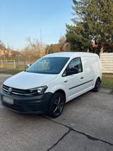 Volkswagen VW Caddy Maxi Sortimo Mwst. ausweisbar - mit Diesel-Antrieb: Kleinbus, Mwst Ausweisbar