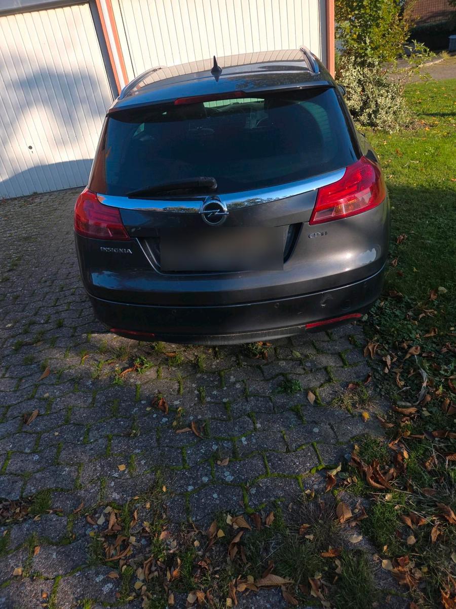 Opel Insignia 2011 — вигляд ззаду