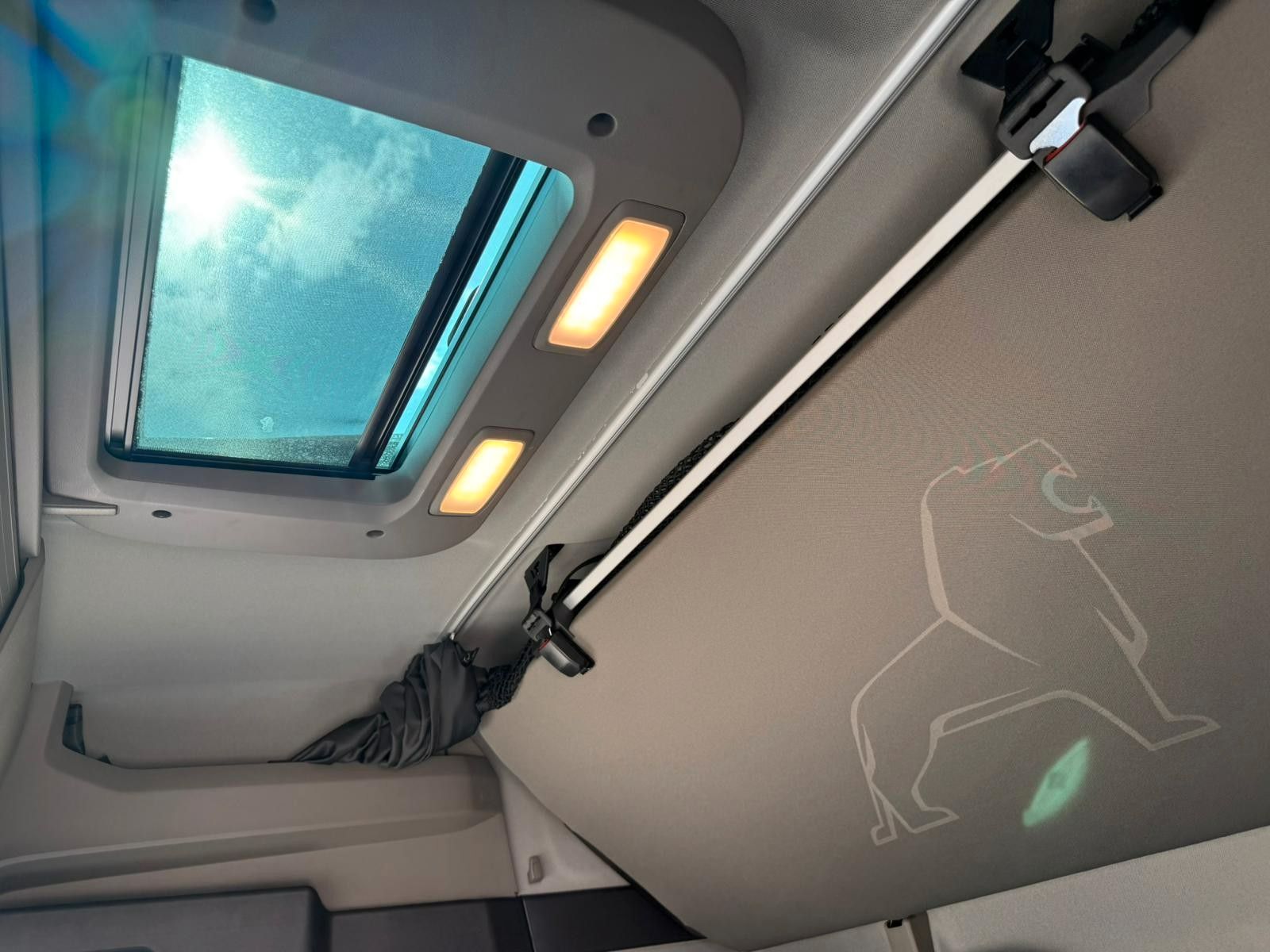 Fahrzeugabbildung MAN TGX 18.520  - Mirror Cam