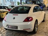 Volkswagen Beetle Design BMT/Totwinkel/PDC v&h/SHZ/Fender - gebrauchte VW Beetle aus dem Jahr 2015