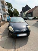 Fiat Punto - Fiat Punto Gebrauchtwagen in Krefeld