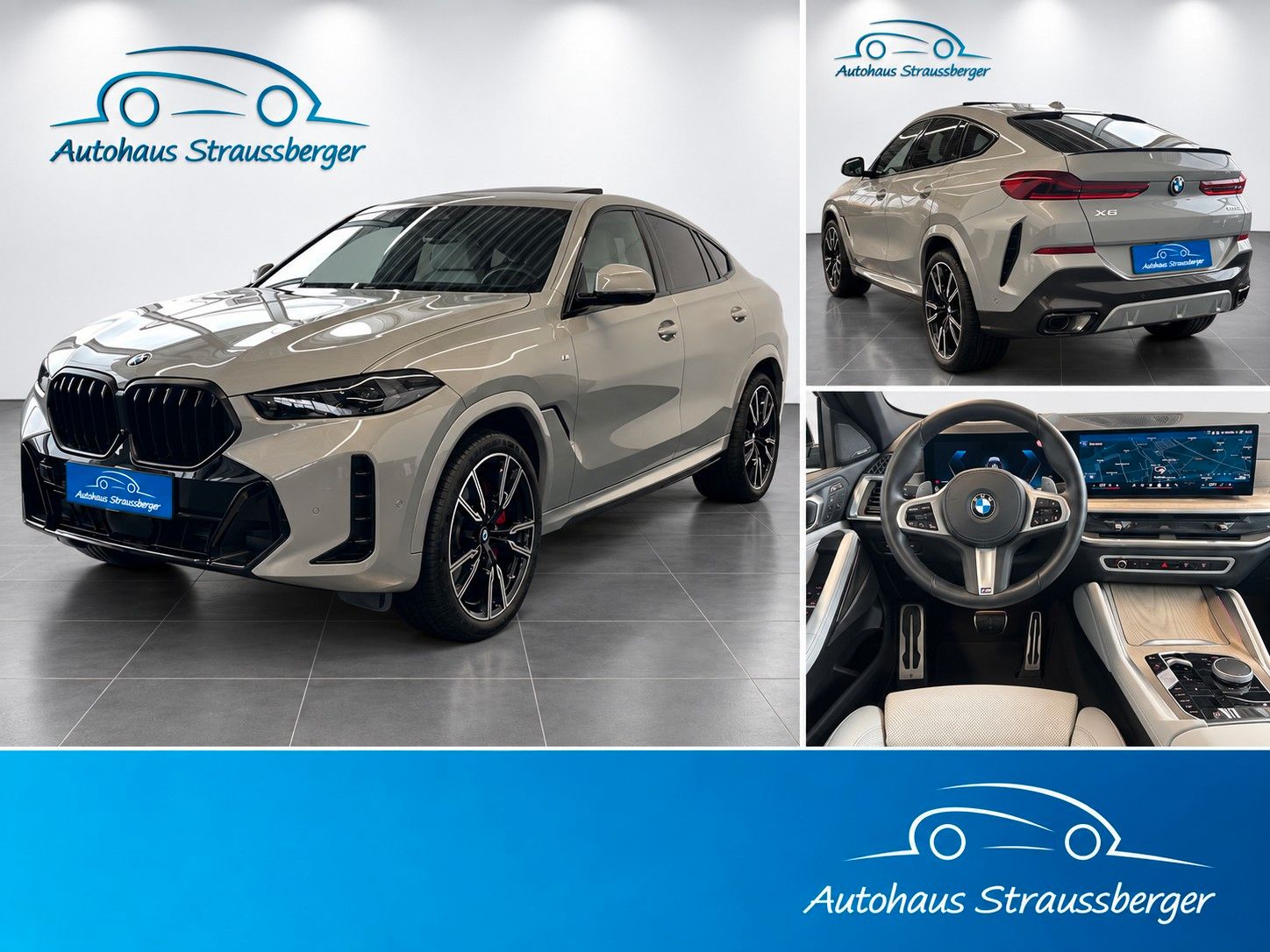 BMW X6 - 1