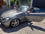 Mercedes-Benz SLK 200 KOMPRESSOR - R171 - Cabrio Roadster  - Mercedes-Benz SLK 200: R171