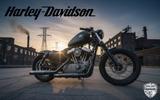 Harley-Davidson Sportster 1200 XL N Thunderbike