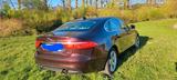 Jaguar XF 30d 300PS Prestige Automatik Prestige - Jaguar XF Prestige mit Diesel-Antrieb