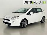 Fiat FIAT Punto 1.2 8V 5 porte Easy - Fiat Punto EASY mit Benzin-Antrieb