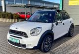 MINI Cooper S Countryman PANO HARMAN KARDON NAVI PDC  - weiße Mini Countryman Serie