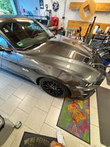 Ford Mustang 5.0 Ti-VCT V8 GT Recarositze Garantie - Ford Mustang in Hamm
