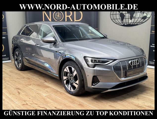 AUDI e-tron 55 QU.Advanced Pano/Kamera/B&amp;O/20/AHK