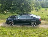 Audi S5 3.0 TFSI Pano|ACC|B&O|Massage|OhneOPF - Audi S5 mit Benzin-Antrieb: Leder, Sportwagen