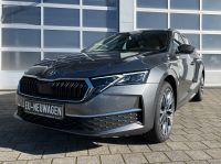 SKODA Octavia 1.5 TSI MHEV DSG Selection AHK 5J GAR bei Autohaus Landmann & Maier OHG