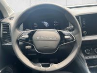 Skoda Karoq - Vorschau Bild 14
