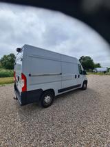 Fiat Ducato 2020, Hochr.Kasten L2H2, 1.Hand, 52100 km - Fiat Ducato: 2.5