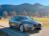 Jaguar XF  3.0d V6 R-SPORT  300PS 20 ZOLL PANO/AHK/UVM! - Jaguar XF: 3.0