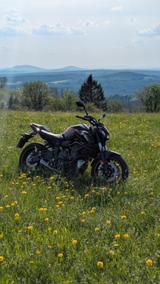 Yamaha MT 07 Pure - YAMAHA MT 07 PURE
