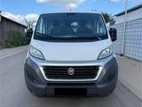 Fiat DUCATO 2.0 TOP ZUSTAND *REGAL SYSTEM *MWST - Fiat Ducato: 2.0