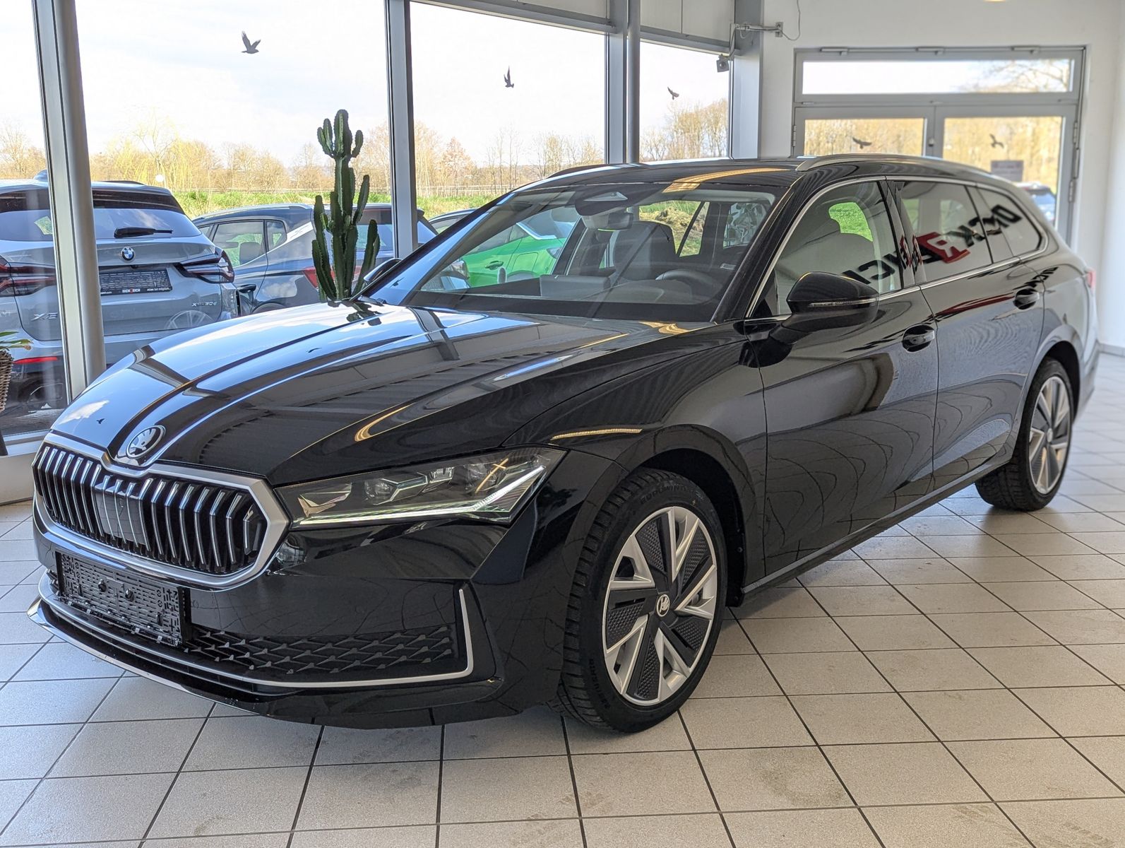 Fahrzeugabbildung SKODA Superb 2.0 TDI 4x4 Selection Matrix AHK 5J Garan