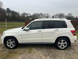 Mercedes-Benz GLK 220 CDI 4MATIC BlueEFFICIENCY - - Mercedes-Benz GLK 220 in Bremen