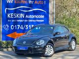 Volkswagen Beetle Lim. *KLIMATR*TEMPOMAT*ALU*PDC* - gebrauchte VW Beetle aus dem Jahr 2013