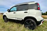 Fiat Panda 0.9 8V TwinAir CROSS 4X4 RFK, TÜV neu - Fiat Panda: Kleinwagen