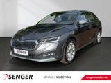Skoda Octavia 1.5 TSI e-TEC Scout DSG AHK HuD - Skoda Octavia Scout mit Benzin-Antrieb