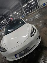 Andere Tesla Model 3 Performance - Andere mit Elektro-Antrieb