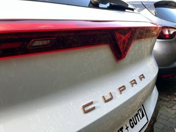 Cupra Terramar - 6