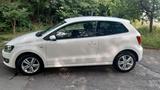 Volkswagen Polo 1.2 TDI 6R LIFE  - Volkswagen Polo mit Diesel-Antrieb: 1.6