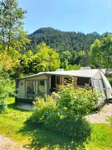 Fendt  550 Diamant SG - Angebote