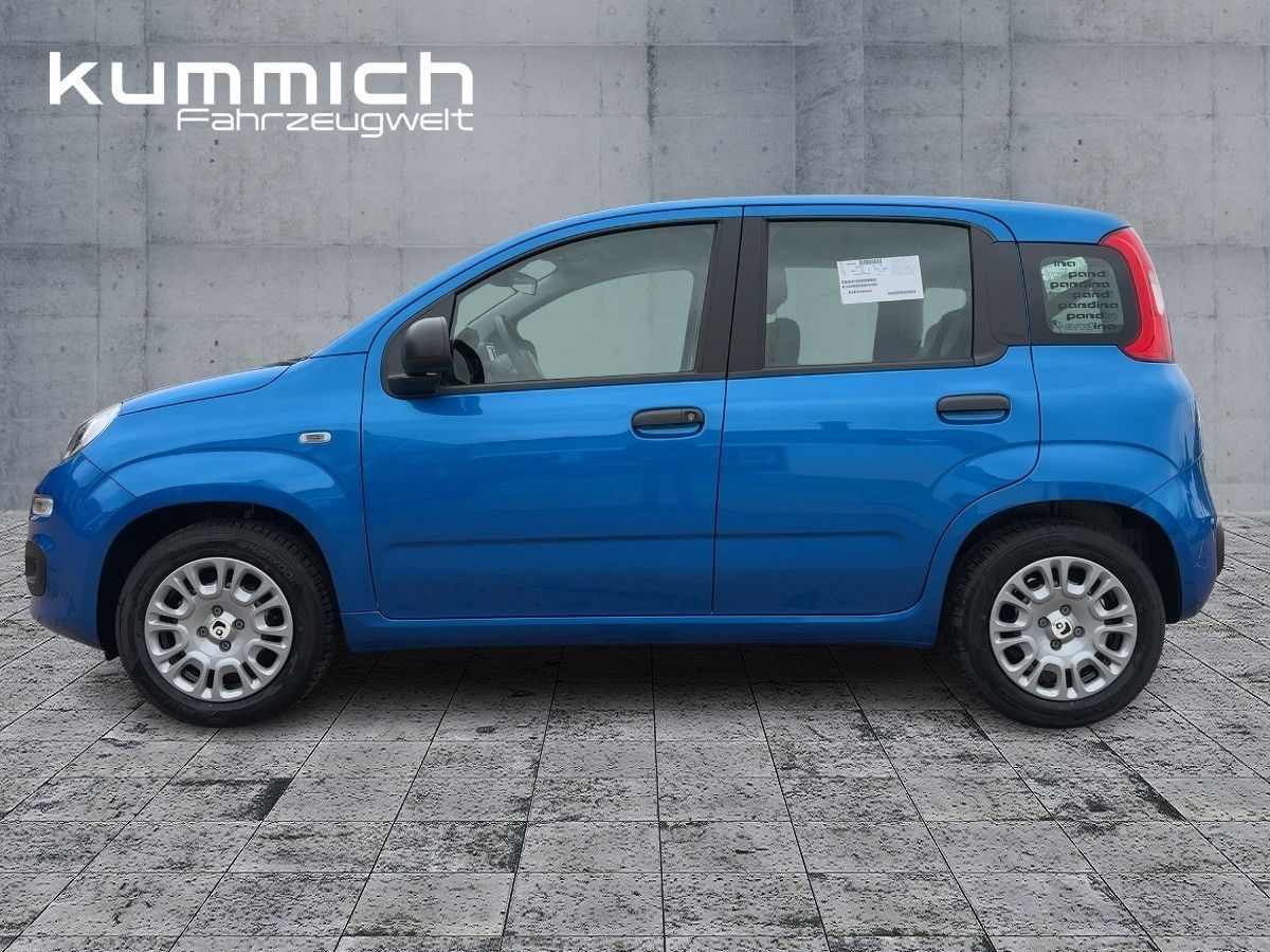 Fiat Panda - Bild 6