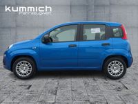 Fiat Panda - Vorschau Bild 6